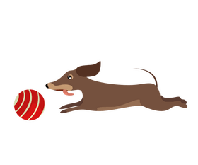 Dachshund dog running with a ball clipart