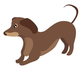 Cute dachshund dog clipart