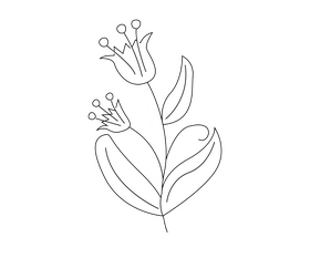 Cartoon flowers black and white clipart