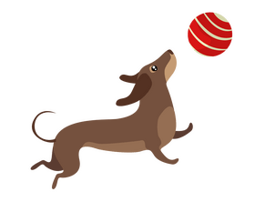Dachshund dog playing with ball clipart
