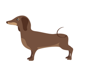 Dachshund dog side view clipart