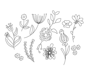Flowers black and white vector