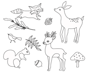 Forest animals set, forest fruits black and white vector