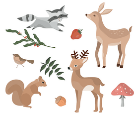 Forest animals set, forest fruits vector