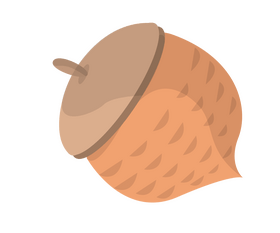 Acorn nut clipart