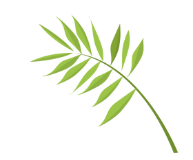 Tree branch with green leaves clipart