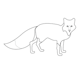 Fox drawing black and white clipart