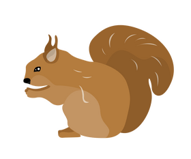 Squirrel clipart