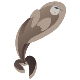 Seal animal sleeping clipart