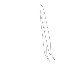 Forceps black and white clipart