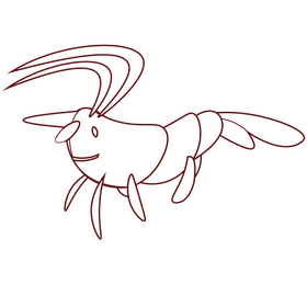 Shrimp black and white clipart