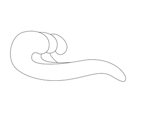 Cartoon ocean waves black and white clipart