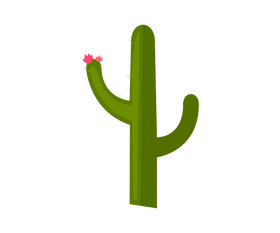 Argentinian cactus echinopsis clipart