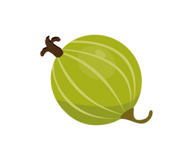 Gooseberry drawing clipart