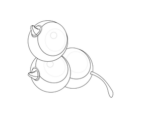 Blackcurrant cartoon black and white clipart