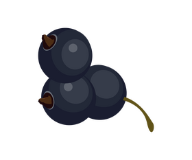Blackcurrant cartoon clipart