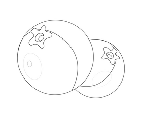 Red berries illustration black and white clipart