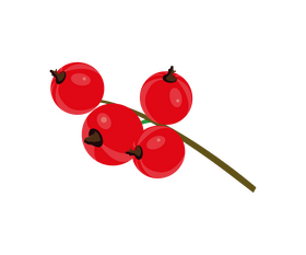 Red currant clipart