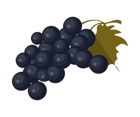 Black grape clipart