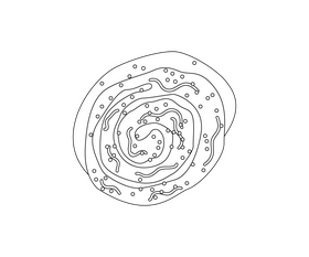 Chocolate swiss roll black and white clipart