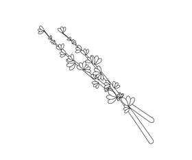 Lilac illustration black and white clipart