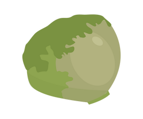 Cabbage free clipart