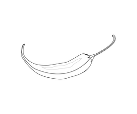 Chili pepper illustration black and white clipart