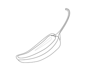 Chili pepper black and white clipart