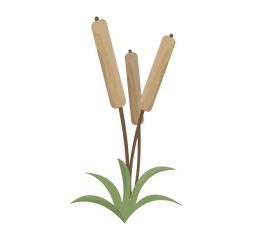 Grass clipart