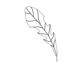 Arugula leaf black and white clipart