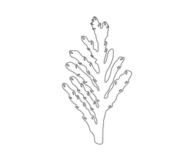 Green leaf drawing black and white clipart