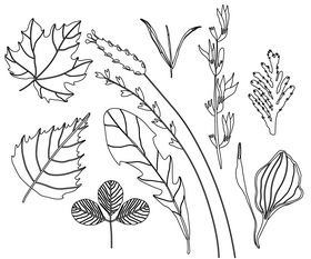 Greens black and white vector