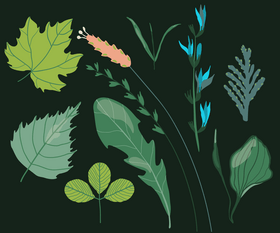 Greens vector
