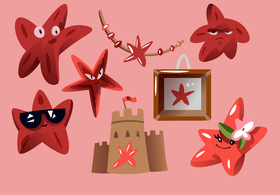 Starfish cartoon set vector