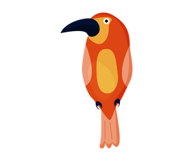 Red bird drawing clipart