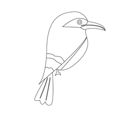 Bird illustration black and white clipart