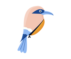 Bird illustration clipart