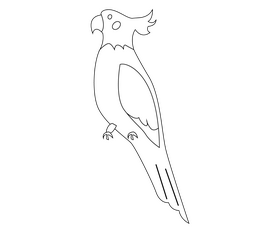 Parrot free black and white clipart