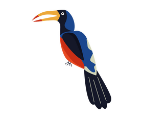 Toucan bird clipart