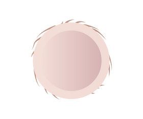 Half broken coconut cartoon clipart