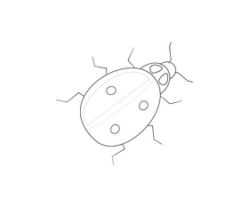 Cartoon ladybug black and white clipart