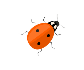 Cartoon ladybug clipart