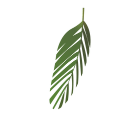 Palm leaves clipart
