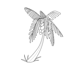 Palm tree drawing black and white clipart