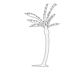 Palm tree illustration black and white clipart