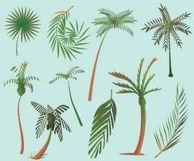 Tropical palm trees vector