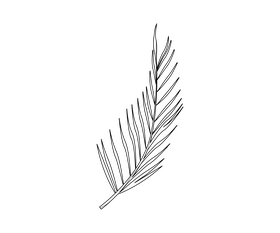 Palm leaf cartoon black and white clipart