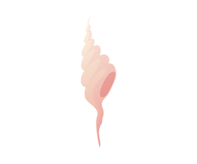 Cartoon seashell clipart