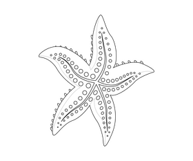 Starfish drawing black and white clipart