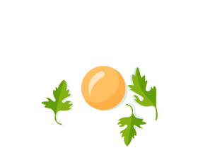 Fried egg clipart